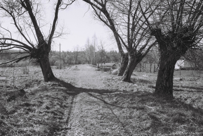 3c.Old Path to Bridge across River Il'lja, il'lja 2017, 2017088c-23A