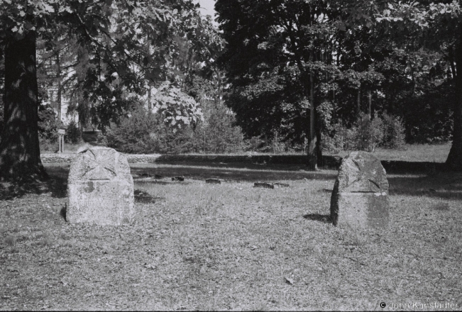 3c.World-War-I-Cemeteries-XXX-German-Cemetery-Dzjasjatniki-2019-2019196b_37