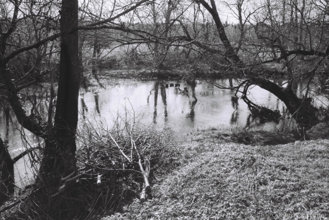 3d.Site of Old Bridge across River Il'lja, Il'lja 2017, 2017088c-24A
