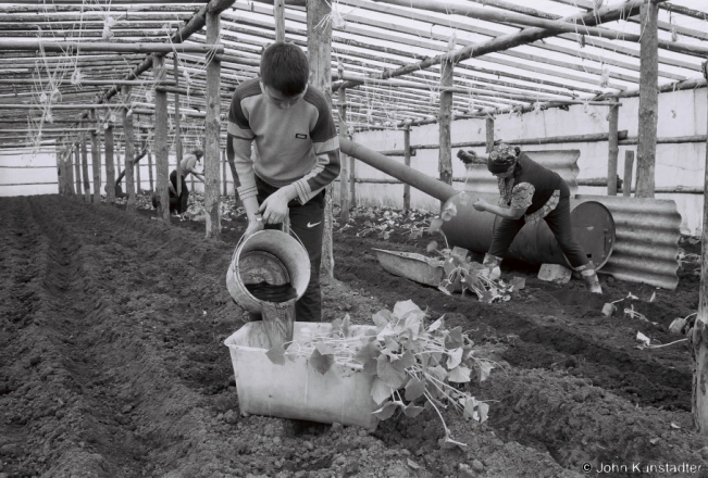 3d.Watering Cucumber Seedlings, Azdamichy 2018, 2018075_15