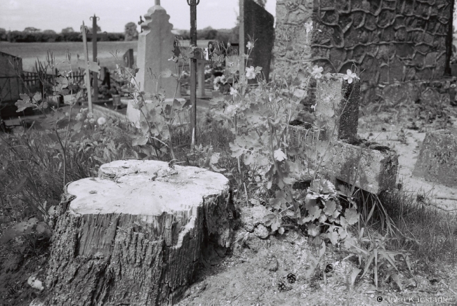 3f.German WWI Graves, Rasla Cemetery 2017, 2017131- (F1040023