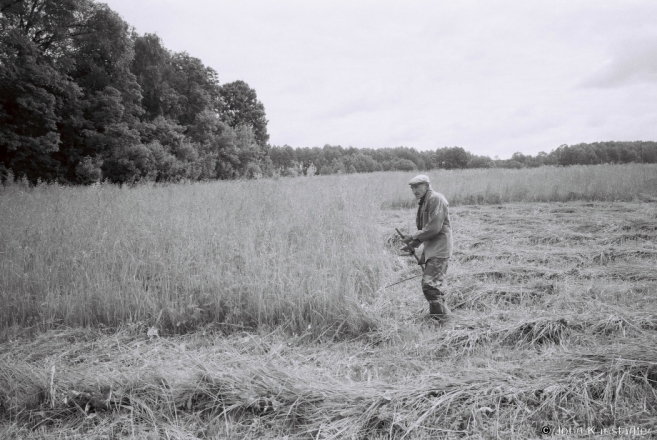 3f.Scything, Shnipava 2017, 2017168- (F1170029