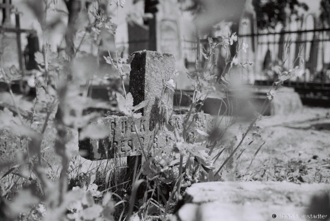 3g.German WWI Graves, Rasla Cemetery 2017, 2017131- (F1040026