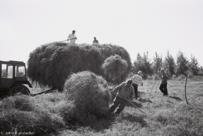 4-first-haying-tsjerablichy-meadows-2012-2012198-f1000038