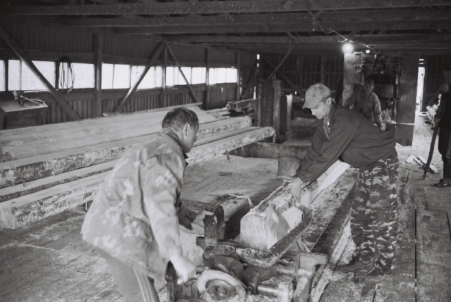 4-sawmill-azdamichy-2012-2012264-15a