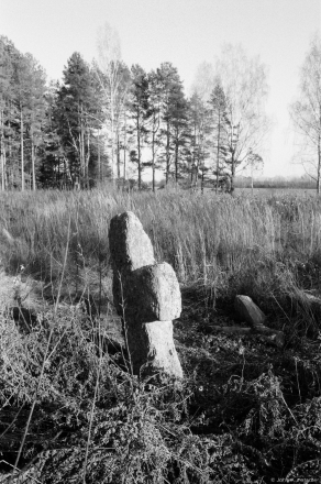 Stone-Cross Tombstone, Babtsy Cemetery 2014, 2014398-15A