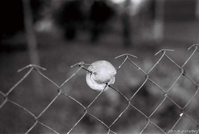 4.Apple Impaled on Fence, Tsjerablichy 2018, 2018186_02A