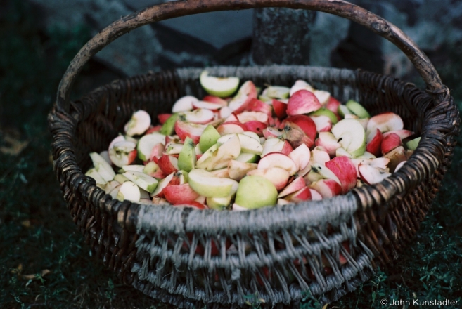 4.Apple Treats for Siva the Cow, Tsjerablichy 2015, 2015331- (F1010001