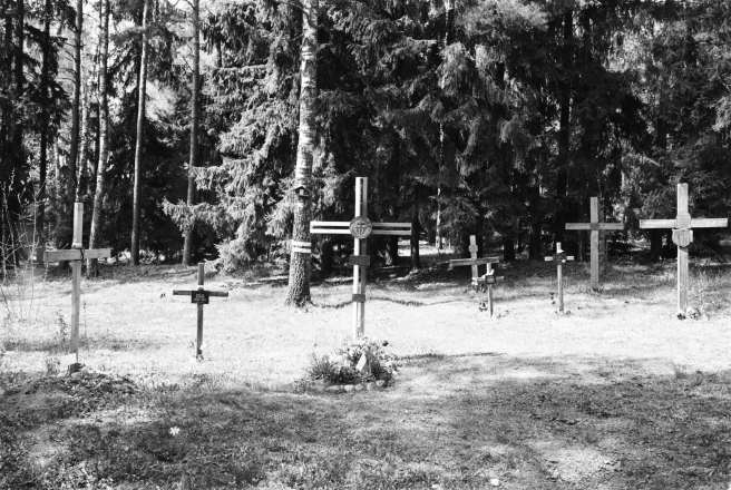 4.Crosses-in Commemoration-of-Poles-Murdered-by-NKVD-at-Kurapaty-2019-2019053a-02