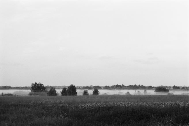 4.Dawn-Fog-Papshychy-2019-2019076b-19A