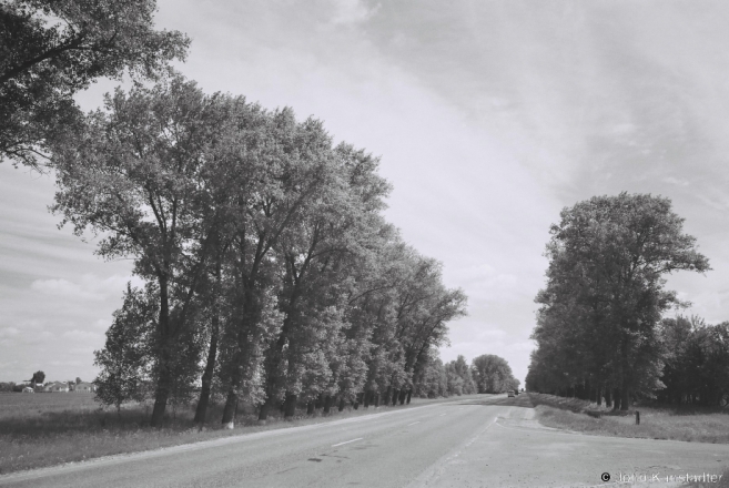 Slutsk-Staryja Darohi Road 2014, 2014213-01.jpg