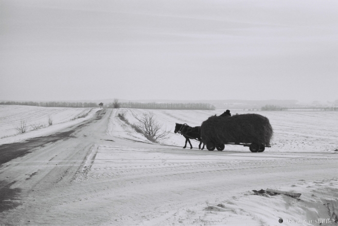 4.Hay-Wagon-Maloje-Zapruddzje-2014-2014031-36A