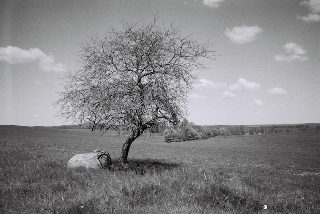 4.Landscape-near-Lauski-Brod-2016-2016148b-31