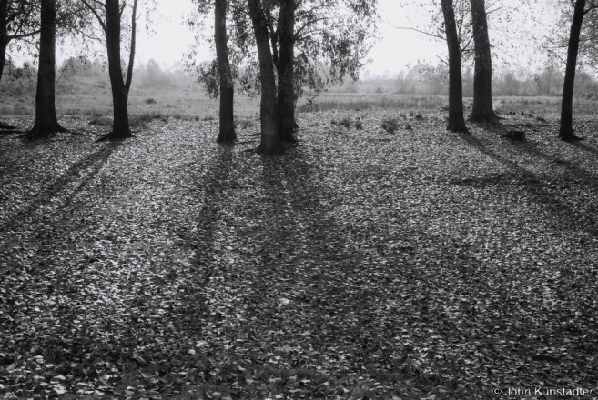 Indian Summer, Machul' 2014, F1110013(2014375a-