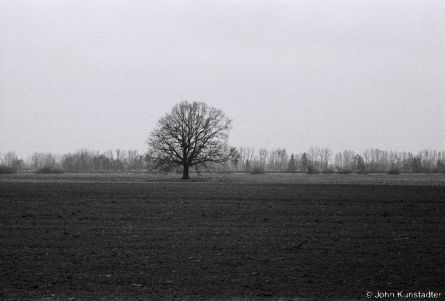 4.Oak-nr.-New-Cemetery-Tsjerablichy-2020-2020018a_08A