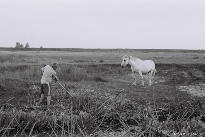 4.Scything Reeds for Trinity, Tsjerablichy 2016, 2016218- (F1070017