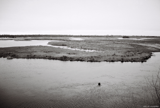 4.Spring Flood on the River Moustva, Tsjerablichy 2016, 2016088b-20A(2) (000050