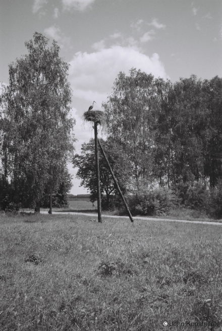 4.Storks-Nest-Boltsishki-2014-2014247-3A