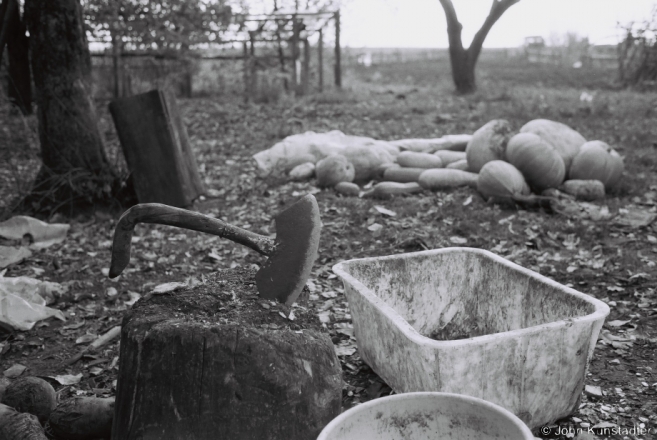 Feed for the Hogs, Tsjerablichy 2014, F1110028(2014375a-