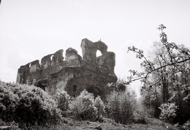 4a.Churches-of-Belarus-CDLXXXIV-Ruins-of-Orthodox-Originally-Greek-Catholic-Church-of-the-Transfiguration-Navaspask-2016-2016166-5A