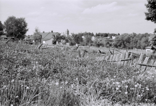 4a.Old-Fence-Mir-2018-2018098_06A
