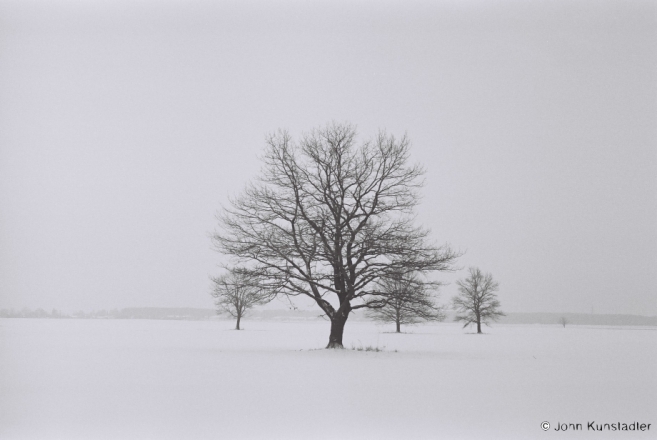 4a.Winter in Polesia, Oak Grove, Fjadory 2013, 2013014-26