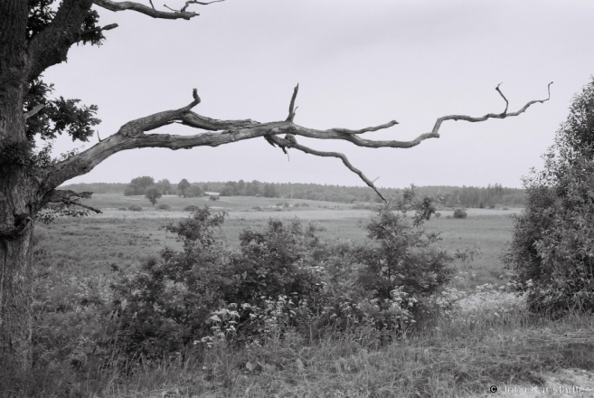 4b.At River Tushanka, West of Khatsilki 2015, 2015230- (F1120034