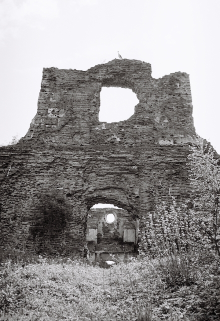 4b.Churches-of-Belarus-CDLXXXIV-Ruins-of-Orthodox-Originally-Greek-Catholic-Church-of-the-Transfiguration-Navaspask-2016-2016166-11A