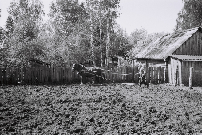 4b.Family-Farming-in-Polesia-Turning-the-Soil-in-the-Potato-PatchБаранаваньне-Tsjerablichy-2016-2016165b-18A