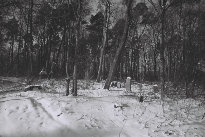 4b.Portion of Old Cemetery, Vavjerka 2014, 2014030a-2A