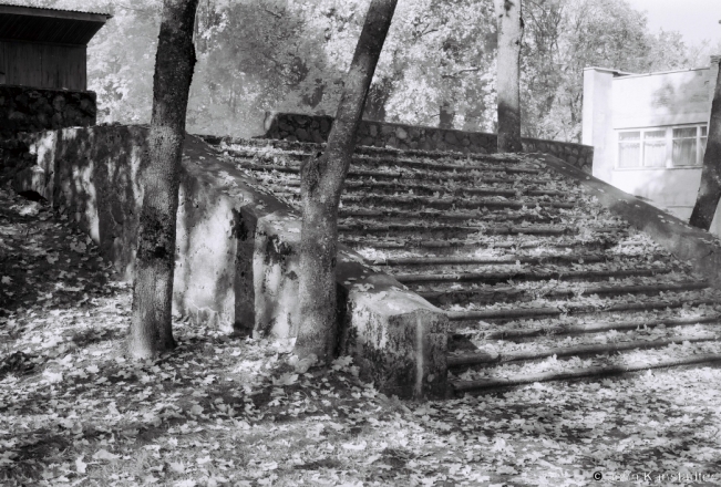 4b.Steps to Site of Manor House, Former Schafnagel Estate, Kushljany 2018, 2018263b_29A