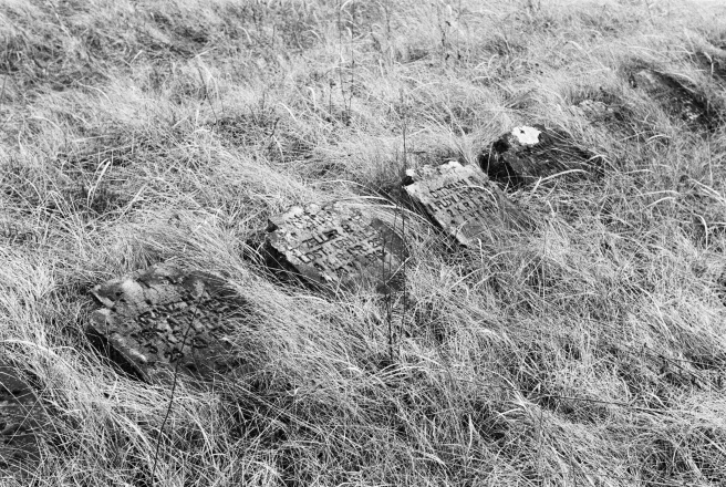 4b.World-War-I-Cemeteries-XXXII-German-Cemetery-Parechcha-Pinsk-District-2020-2020019-20A