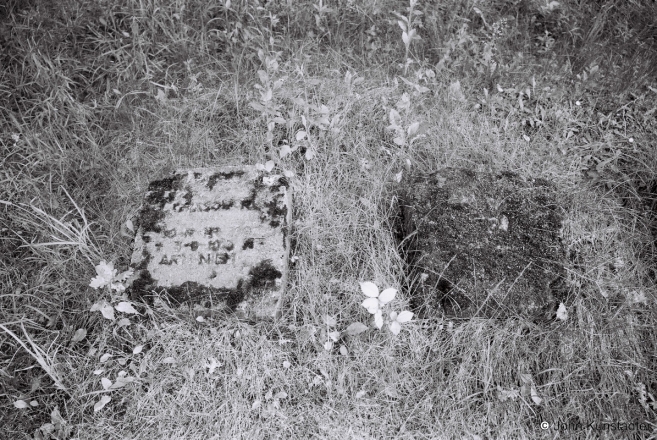 4b.World-War-I-Cemeteries-LIV-Cemetery-with-Graves-of-Soldiers-of-the-German-and-Russian-Imperial-Armies-Baloty-2013-2013188-32A