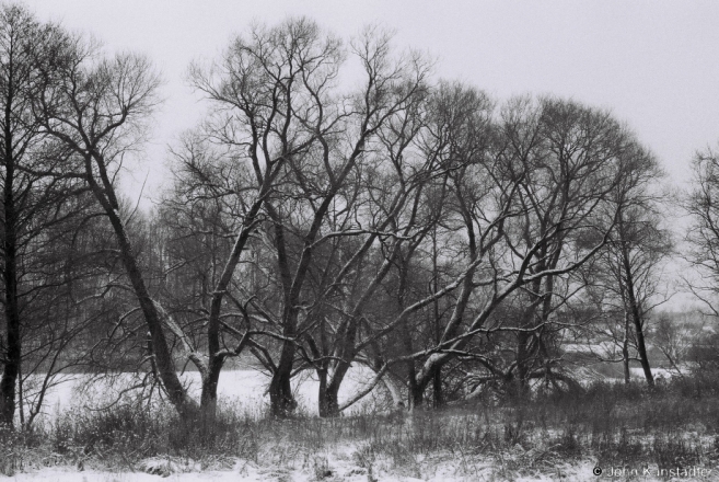 Photo Expedition to Chervjen' District, Former Estate Park of the Slats'vinski Family, Ravanichy 2015, F1000022(2015014a-