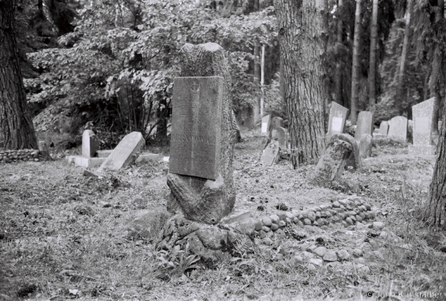 4c.Gravestone-in-Shape-of-Tree-Trunk-Tatar-Cemetery-Asmolava-2018-2018148_02