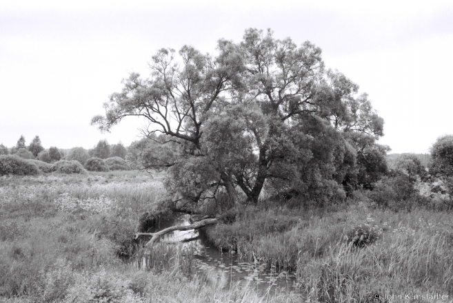 4c.River Tushanka 2015, 2015230- (F1120035