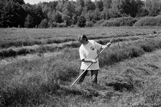 4c.Sporauski Scything Competition, Vysokaje 2016, 2016261-36A (00140036