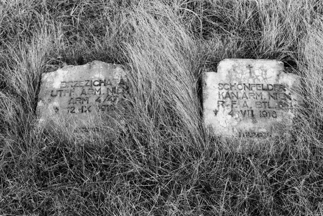 4c.World-War-I-Cemeteries-XXXII-German-Cemetery-Parechcha-Pinsk-District-2020-2020019-25A