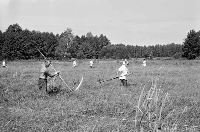 4d.Sporauski Scything Competition, Vysokaje 2016, 2016263a-1A (00080001