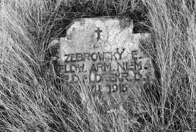 4d.World-War-I-Cemeteries-XXXII-German-Cemetery-Parechcha-Pinsk-District-2020-2020019-26A