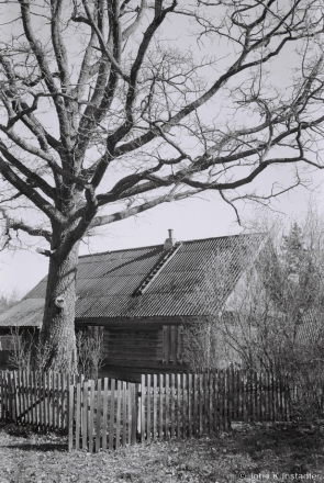 4e.Birthplace of Poet Maksim Tank, Pil'koushchyna 2017, 2017090-8A