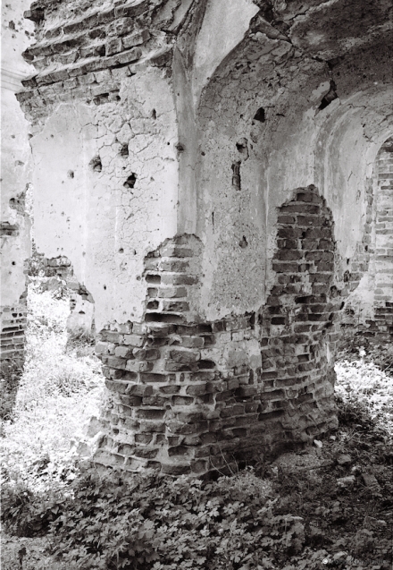 4e.Churches-of-Belarus-CDLXXXIV-Ruins-of-Orthodox-Originally-Greek-Catholic-Church-of-the-Transfiguration-Navaspask-2016-2016166-13A