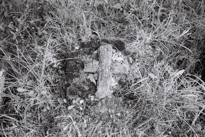 4e.World-War-I-Cemeteries-LIV-Cemetery-with-Graves-of-Soldiers-of-the-German-and-Russian-Imperial-Armies-Baloty-2013-2013188-36A