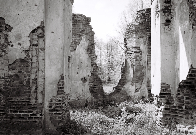 4f.Churches-of-Belarus-CDLXXXIV-Ruins-of-Orthodox-Originally-Greek-Catholic-Church-of-the-Transfiguration-Navaspask-2016-2016166-30A
