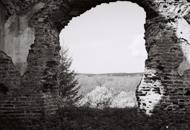 4g.Churches-of-Belarus-CDLXXXIV-Ruins-of-Orthodox-Originally-Greek-Catholic-Church-of-the-Transfiguration-Navaspask-2016-2016166-31A