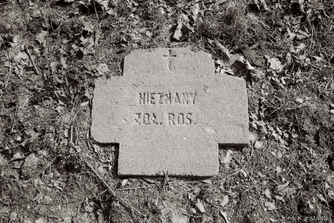4g.World-War-I-Cemeteries-LVI-Unknown-Russian-Soldier-German-WWI-Cemetery-Poltaraushchyna-2016-2016112c-36