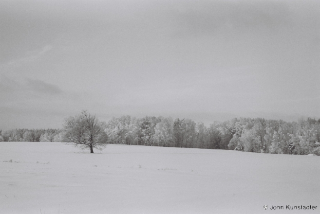 5-buda-oak-f11400232013006