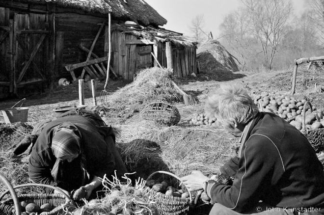 digging-up-stored-potatoes-kudrychy-2007-2007100-20