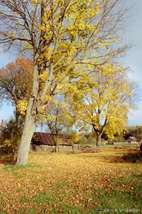 5-near-ruzhany-2001-2001265-16