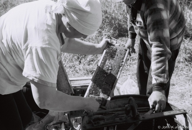 5.Collecting May Honey from Hives in the Forest, Bjerazy nr. Tsjerablichy 20182018133a_20A